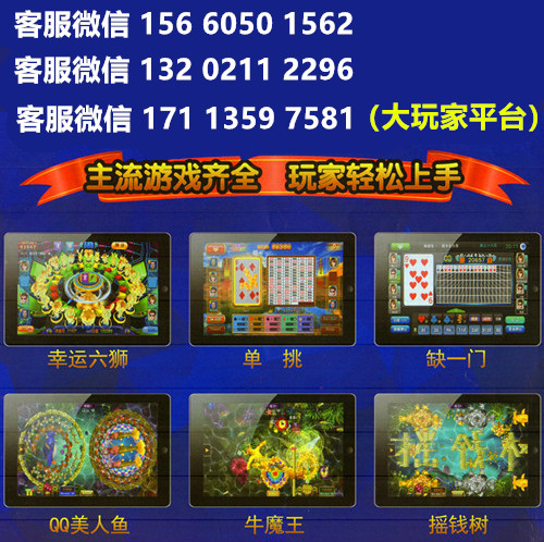 4.星力九代一个平台多少钱？