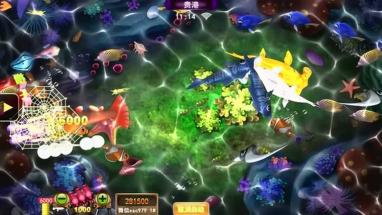 3.我在网上棋牌打鱼输了几万能回来吗？